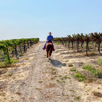 Sonoma Valley Trail Rides - Can't get any better than this. - Horseback Riding Near Me - Sonoma, California Sonoma Valley Trail Rides - Can't get any better than this. - Horseback Riding Near Me - Sonoma, California
