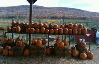 Wilklow Orchards by null