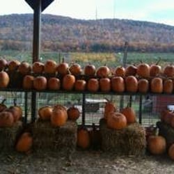 Wilklow Orchards