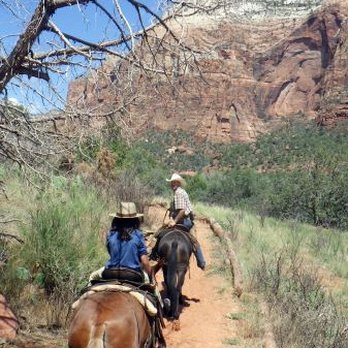 Canyon Trail Rides - Talon telling another joke...Zion np - Horseback Riding Near Me - Springdale, Utah