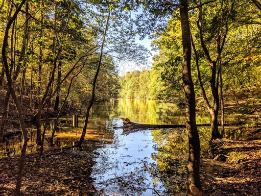 Lake Norman State Park by null