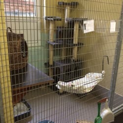 Tierschutzverein Königs Wusterhausen - Innen Käfig 5