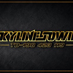 Skyline Towing