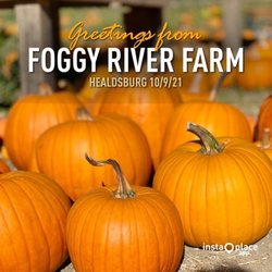 Foggy River Farm - 10.09.21 pumpkin patch