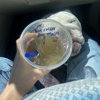 Dutch Bros Coffee - Aquaberry Rebel blended - Coffee & Tea Near Me - La Quinta, California Dutch Bros Coffee - Aquaberry Rebel blended - Coffee & Tea Near Me - La Quinta, California