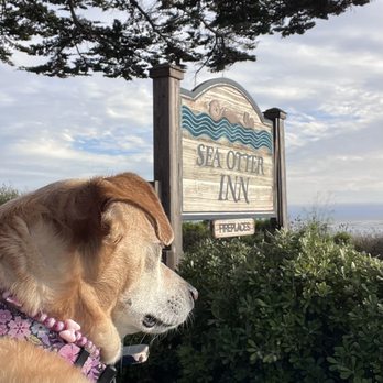Sea Otter Inn - Hotels Near Me - Cambria, California