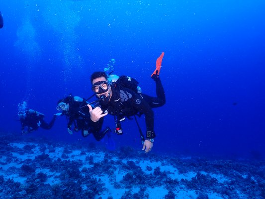 Maui Dreams Dive Co by null