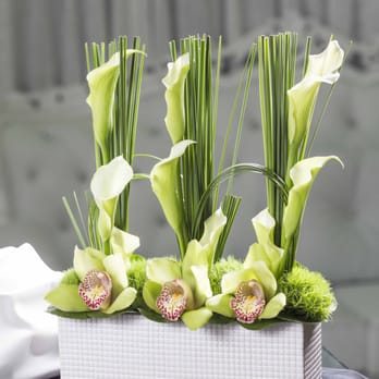 Flowers & Services - Florists Near Me - Miami, Florida Flowers & Services - Florists Near Me - Miami, Florida