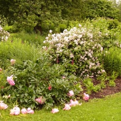 Ostpark