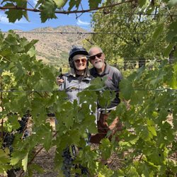 Sidecar Tours - At the winery