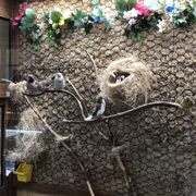 STANFORD COURT SKILLED NURSING REHAB CENTER 49 Photos 44 Reviews