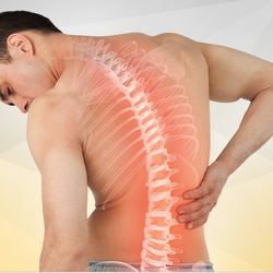 Palm Tree Interventional Pain Management