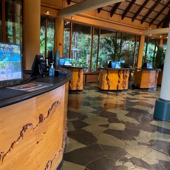 Discovery Cove - Amusement Parks Near Me - Orlando, Florida