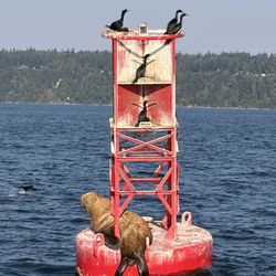 Outer Island Expeditions
