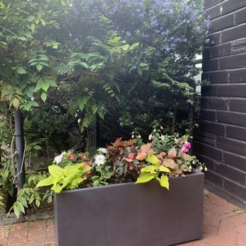 Garden Coaching Solutions - Updated plants and landscaping in our yard - Gardeners Near Me Garden Coaching Solutions - Updated plants and landscaping in our yard - Gardeners Near Me