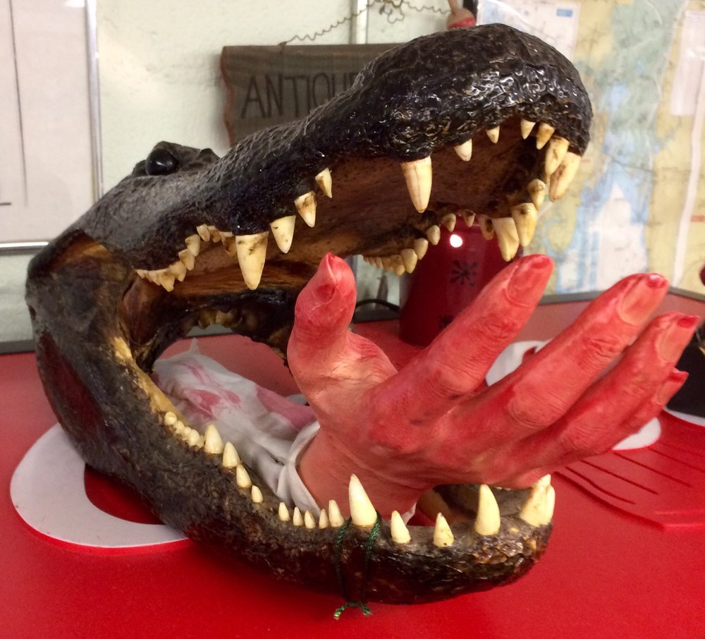 DAHLBERG BOBBY’S FISH CAMP Updated July 2024 686 Bobbys Camp Rd