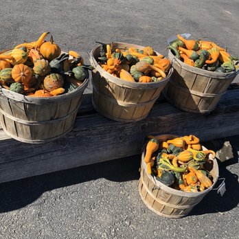 Lawrence Farms Orchards - Pick Your Own Farms Near Me - Newburgh, New York Lawrence Farms Orchards - Pick Your Own Farms Near Me - Newburgh, New York