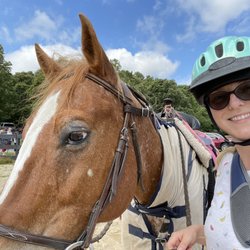 Queen Hive Farm - Selfie with horse