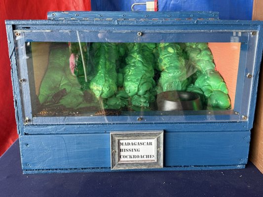 Michigan State Fair by null