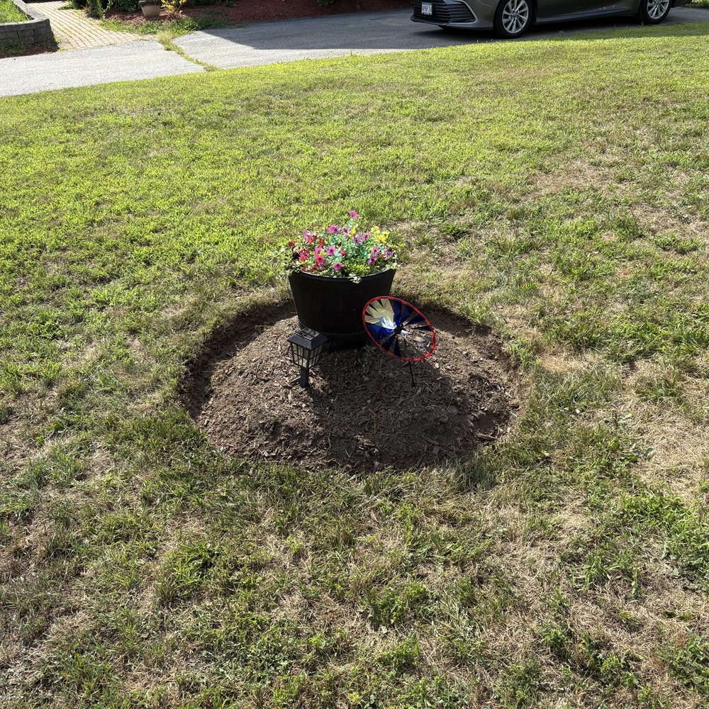 TOP 10 BEST Landscape Architects or Designers near Millis, MA - Updated  2026 - Yelp