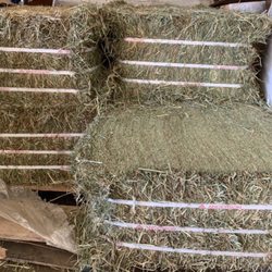 Romberg Mill - Compressed Timothy back in stock. Great for trailering, small storage and even your small pets.