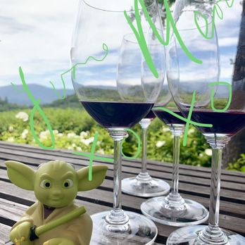 Joseph Phelps Vineyards - Yoda and I are enjoying the wine and the scenery!! - Wineries Near Me - Saint Helena, California Joseph Phelps Vineyards - Yoda and I are enjoying the wine and the scenery!! - Wineries Near Me - Saint Helena, California