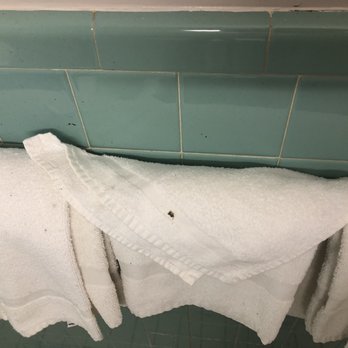 Hamilton Village Inn - Dirt covered towel - Hotels Near Me - North Kingstown, Rhode Island Hamilton Village Inn - Dirt covered towel - Hotels Near Me - North Kingstown, Rhode Island