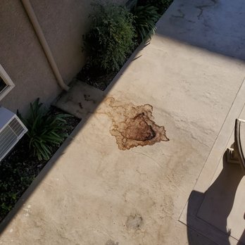 L'abri Management - Lazy managers who refuse to clean up - Property Management Near Me - Downey, California