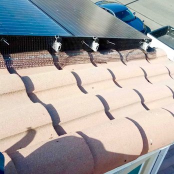 Lukas Pigeon Removal & Gutter Cleaning - Gutter Services Near Me Lukas Pigeon Removal & Gutter Cleaning - Gutter Services Near Me