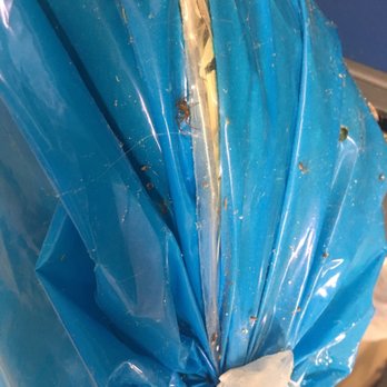 Petco - Dirty bag of hay with spider and eggs - Pet Training Near Me - Sarasota, Florida Petco - Dirty bag of hay with spider and eggs - Pet Training Near Me - Sarasota, Florida