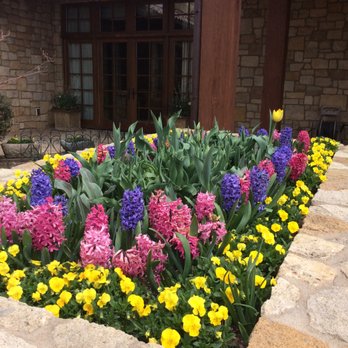 Balogh Gardens - Springtime!!! - Landscaping Near Me - Denver, Colorado Balogh Gardens - Springtime!!! - Landscaping Near Me - Denver, Colorado