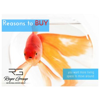 The Reyes Group - Real Estate Services Near Me - Coral Springs, Florida The Reyes Group - Real Estate Services Near Me - Coral Springs, Florida