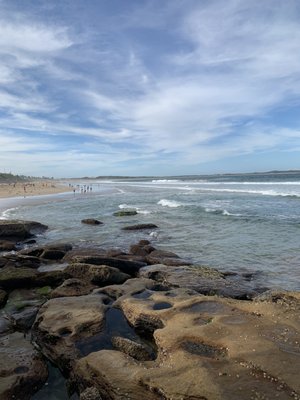 Cronulla Beach by null