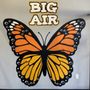 Photo of Big Air Asheville - Asheville