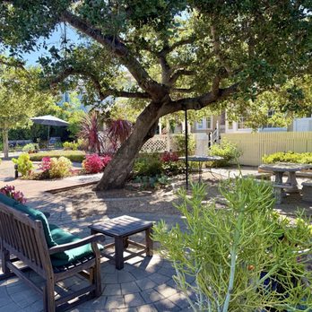 Cheshire Cat Inn - Lovely tree shade - Bed & Breakfast Near Me - Santa Barbara, California