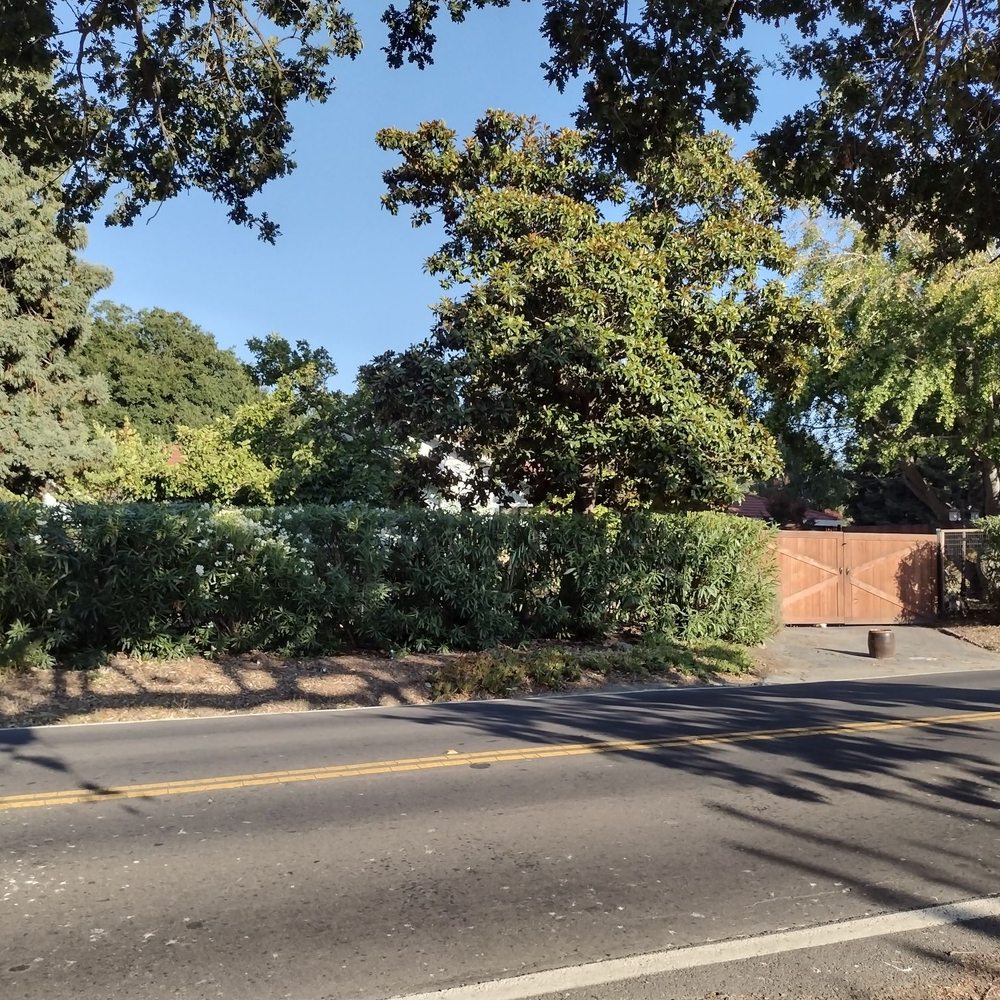 Bay Area Tree Pro - Tree Services Near Me