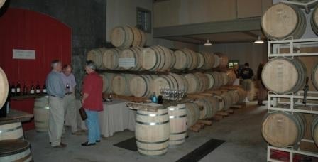 Farella Vineyard by null