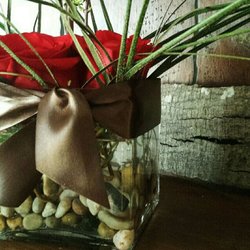 Tiny House of Flowers - Wild Cherry Chocolate