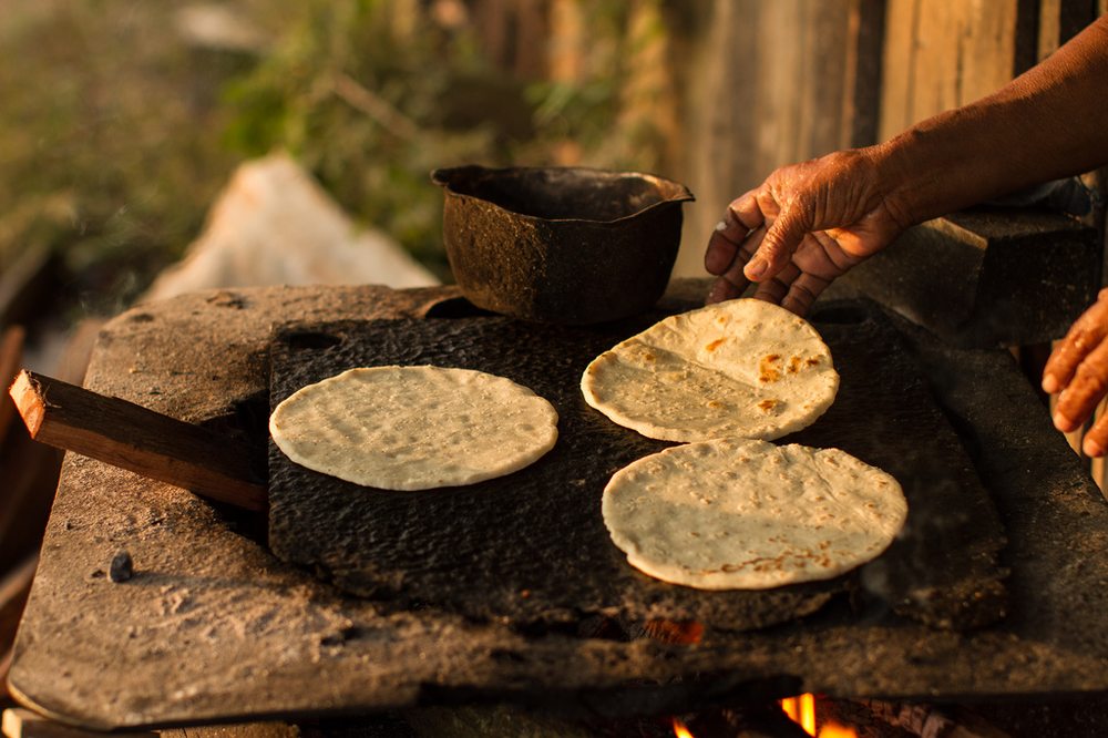 Taqueria Los Ortiz