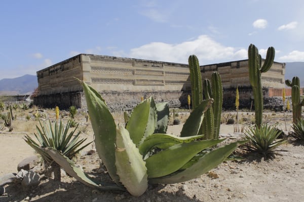 San Pablo Villa de Mitla by null