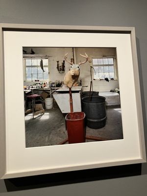 International Center of Photography Museum by null