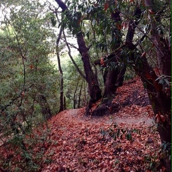 Martin Canyon Creek Trail - Hiking Near Me - Dublin, California