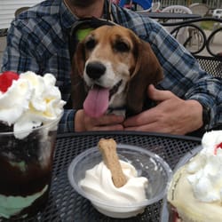Hannah Bannana - Eeny, meeny, miny, moe -- which sundae will Chappy choose?