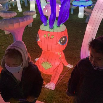 LuminoCity Festival - Festivals Near Me - New York, New York