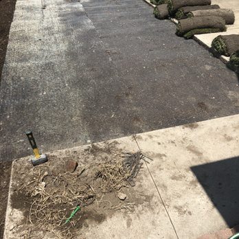 A1 Tree and Landscape - First layer of gopher barrier before overlapping. - Tree Services Near Me