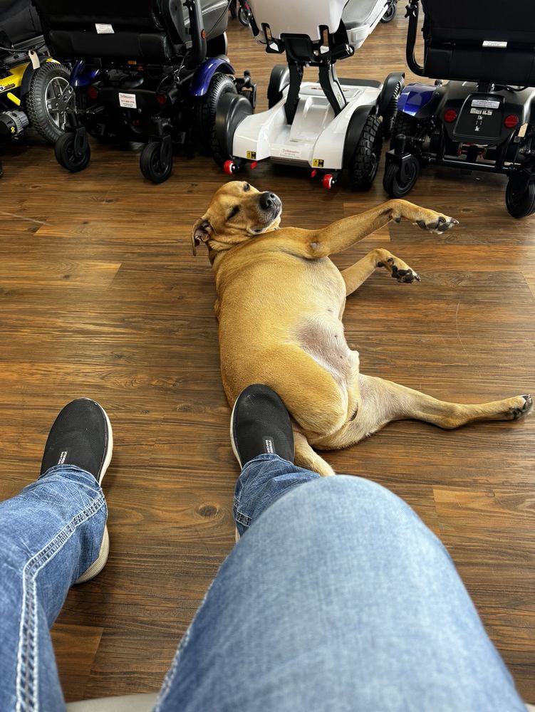 The Healthcare Store - home care agency in Hurst, TX