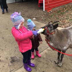 Snowman's Reindeer Farm