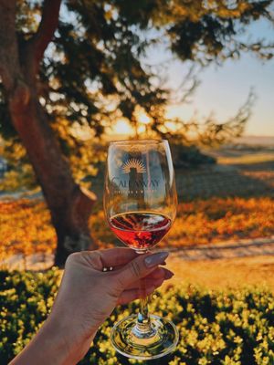 Callaway Vineyard & Winery by null
