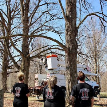 Sunderland Tree Service - Tree Services Near Me Sunderland Tree Service - Tree Services Near Me