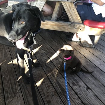 Crab Shack Caribba - Suncrest - Dog friendly - Seafood Near Me - Morgantown, West Virginia Crab Shack Caribba - Suncrest - Dog friendly - Seafood Near Me - Morgantown, West Virginia